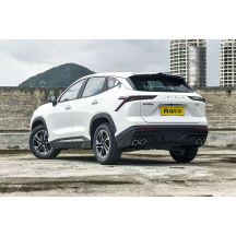 Jetour DASHENG 1.5T DCT Luxury